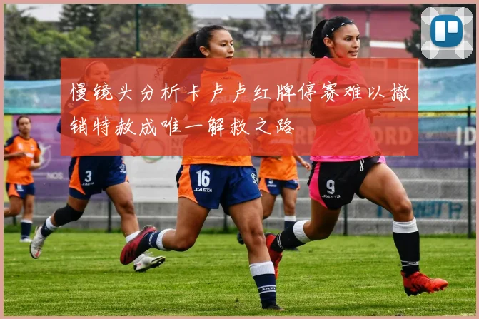 慢镜头分析卡卢卢红牌停赛难以撤销特赦成唯一解救之路